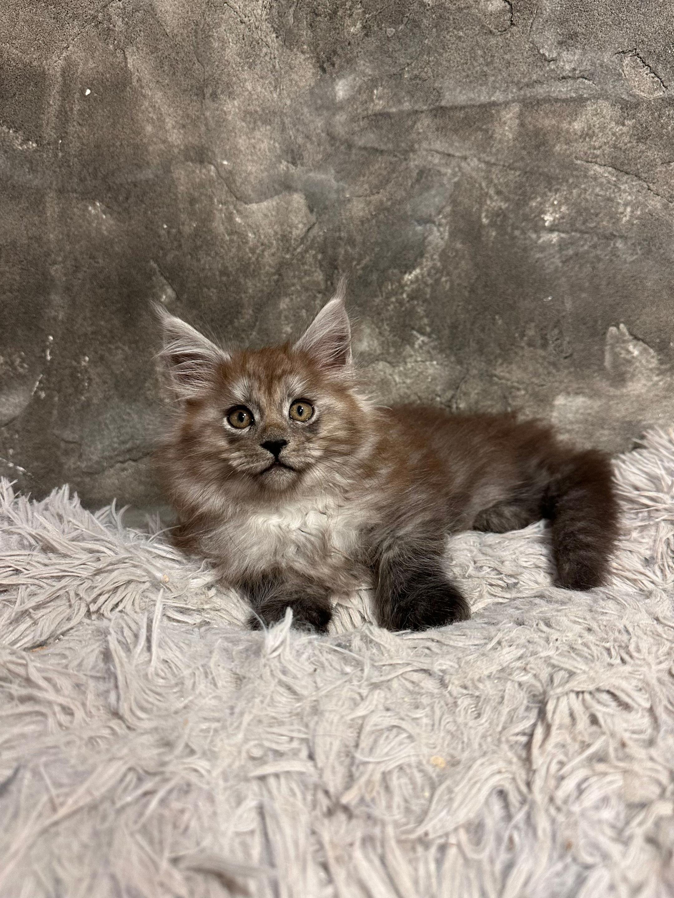 Milo